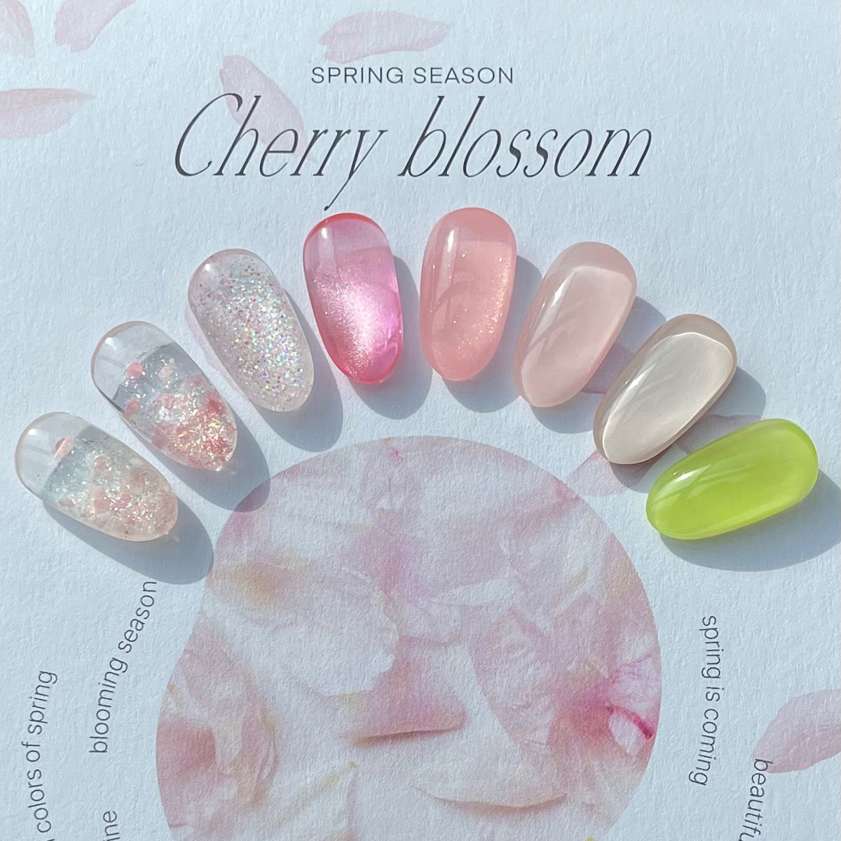 Cherry Blossom Collection